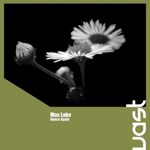 Max Lake - Dance Again [VAST254]